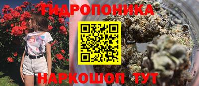mix Будённовск