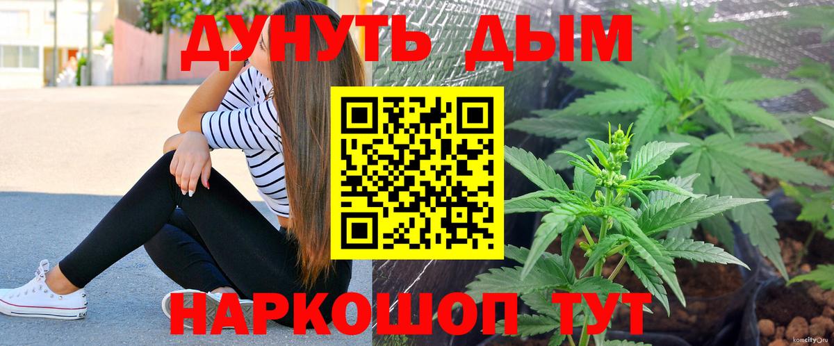 Каннабис марихуана Ессентуки